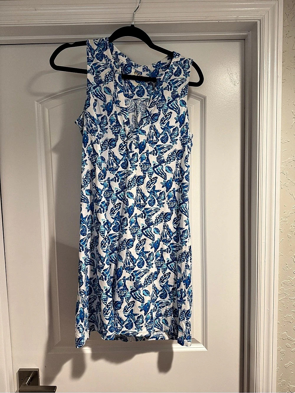 Lilly Pulitzer Floral Mini Dress in Blue & White